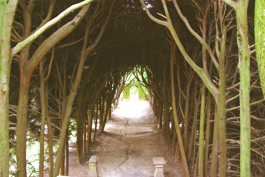 Foto de Vila Real, Portugal