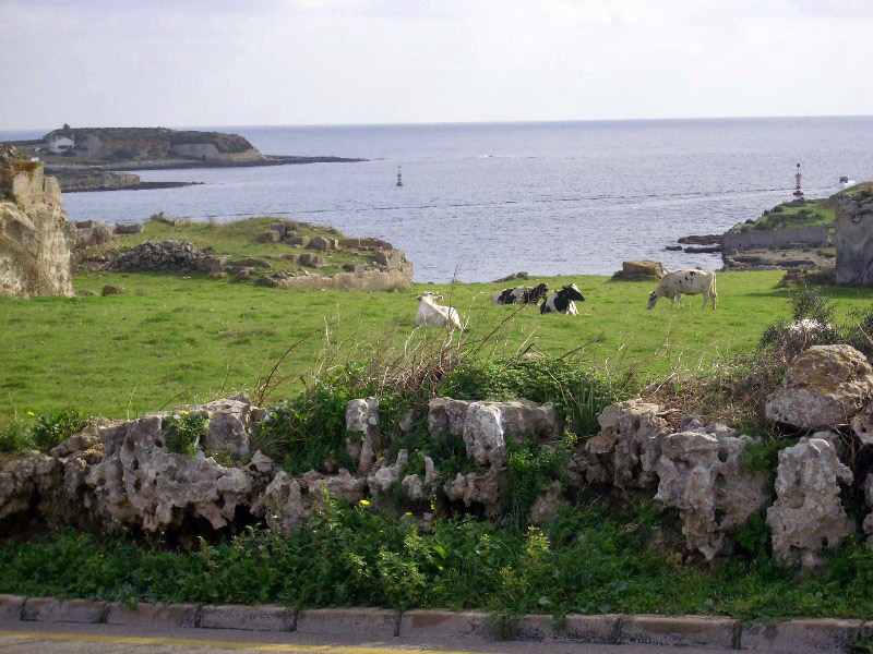 Foto de El Sol del Este - Menorca (Illes Balears), España