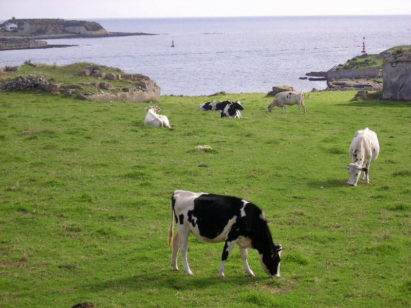 Foto de El Sol del Este - Menorca (Illes Balears), España