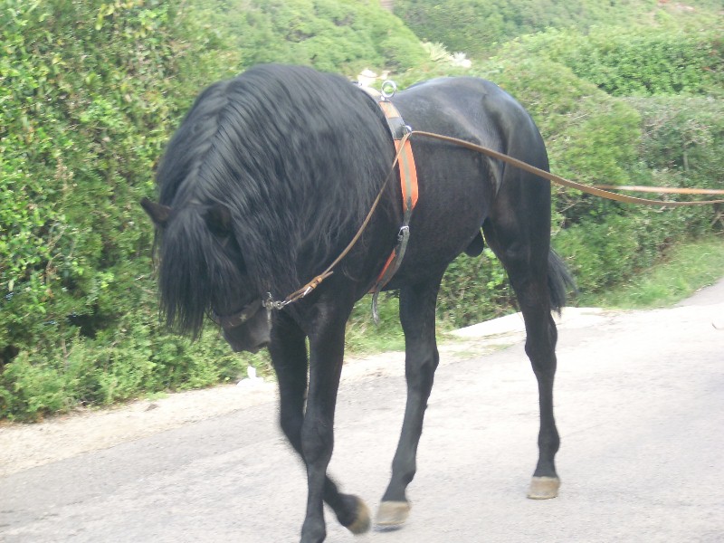 Foto de Cala Sant Esteve - Menorca (Illes Balears), España