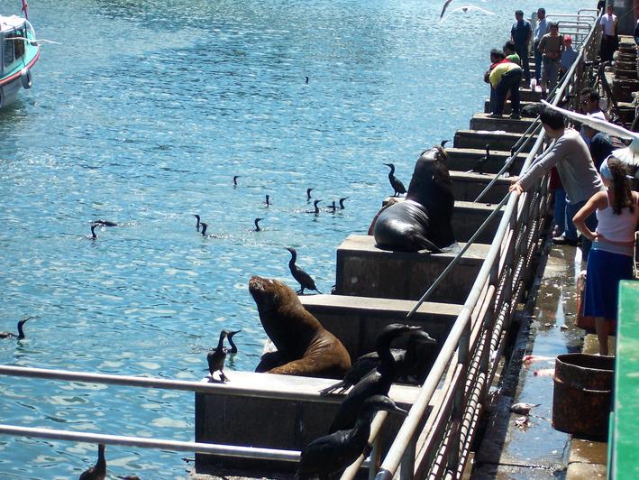 Foto de Valdivia, Chile