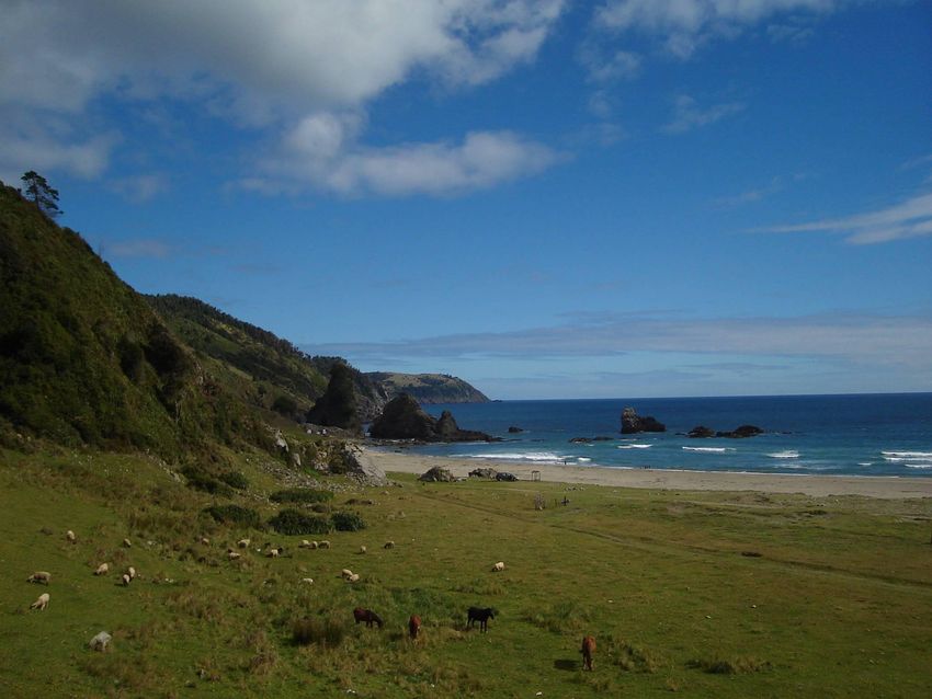 Foto de Pilolcura, Chile
