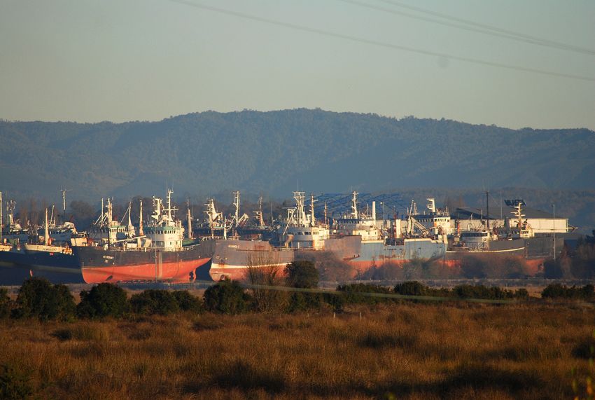 Foto de Valdivia, Chile