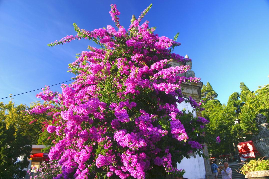 Foto de Braga, Portugal