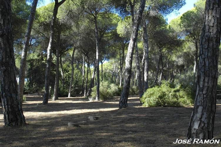 Foto de Puerto de Santa María (Cádiz), España