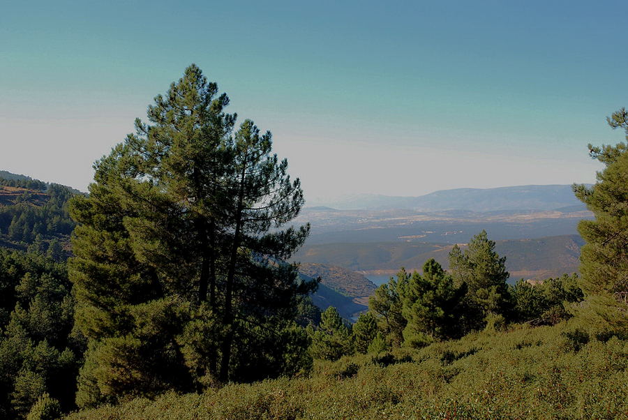 Foto de El Atazar (Madrid), España
