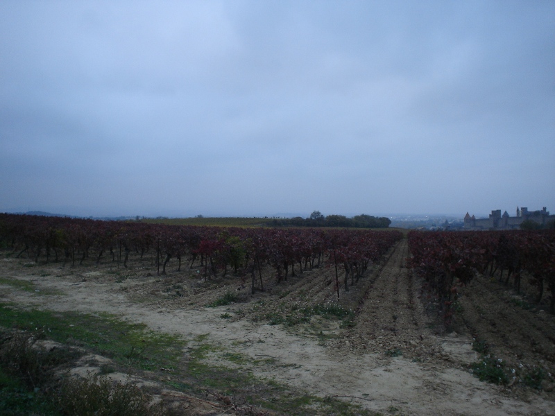 Foto de Carcassonne, Francia