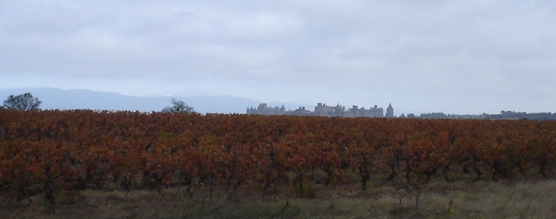 Foto de Carcassonne, Francia