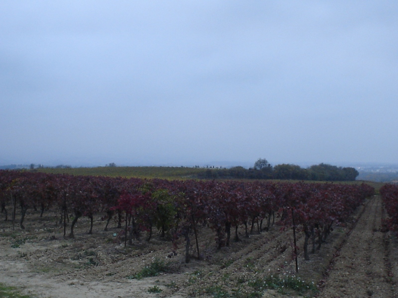 Foto de Carcassonne, Francia