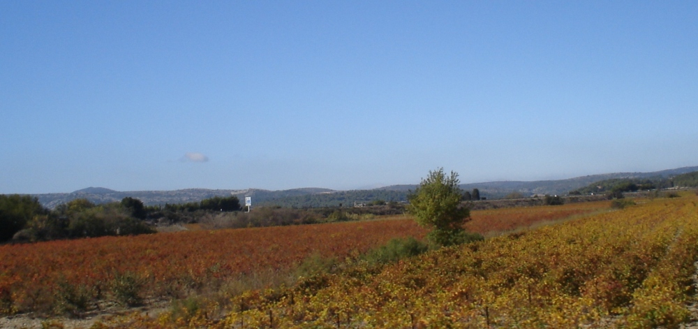 Foto de Carcassonne, Francia