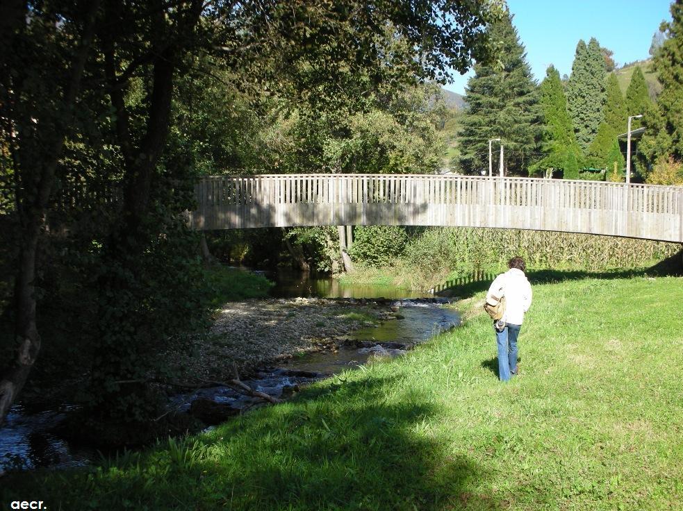 Foto de Pola de Allande (Asturias), España