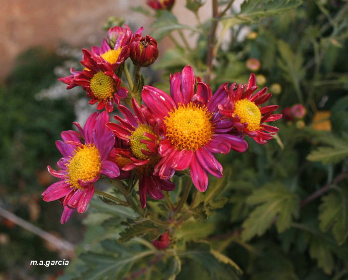 Foto de Respenda de la Peña (Palencia), España
