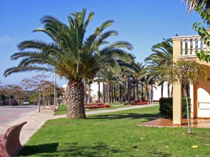Foto de Es Canutells - Menorca (Illes Balears), España