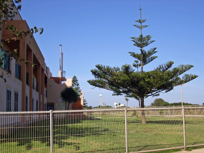 Foto de Es Canutells - Menorca (Illes Balears), España