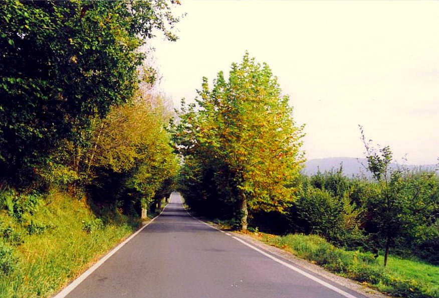 Foto de Laracha (A Coruña), España