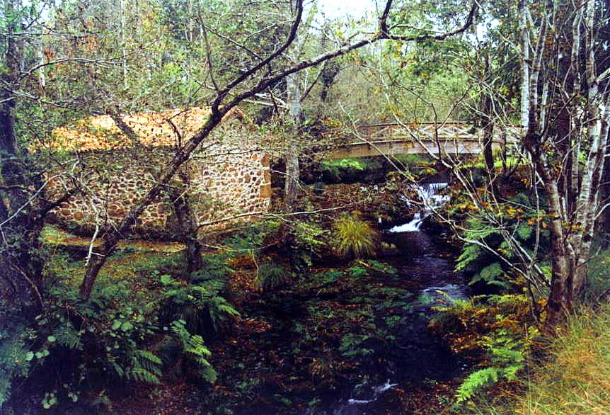 Foto de Laracha (A Coruña), España