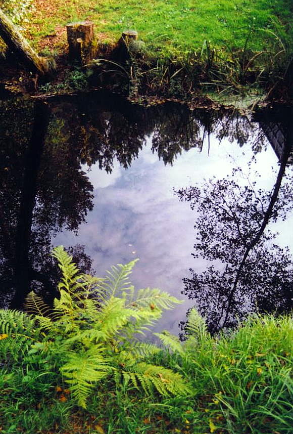 Foto de Laracha (A Coruña), España