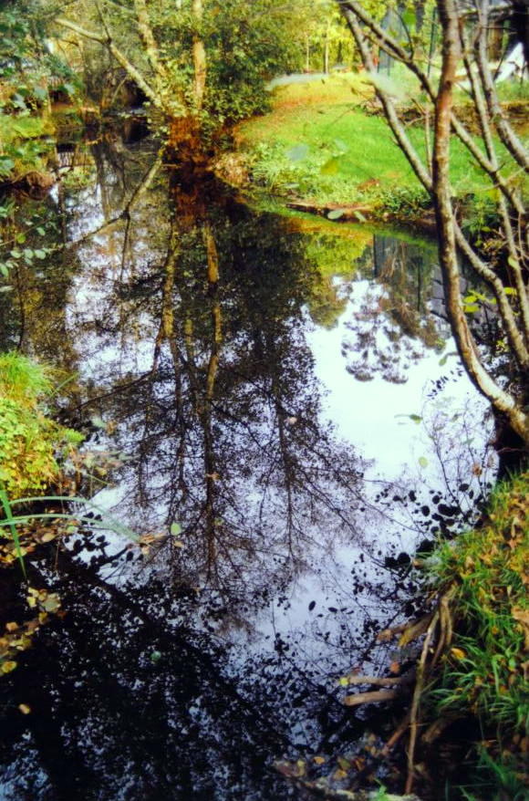 Foto de Laracha (A Coruña), España