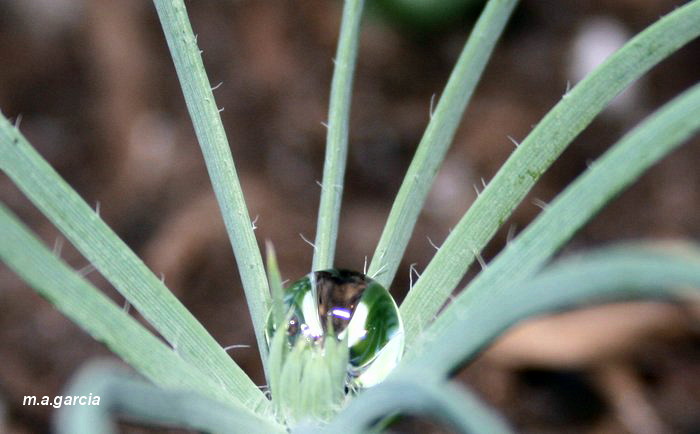 Foto de Ólvega (Soria), España