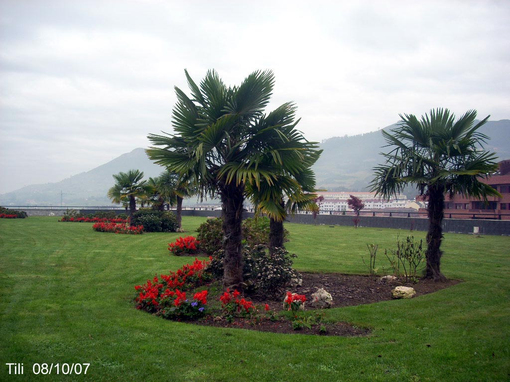 Foto de Oviedo (Asturias), España