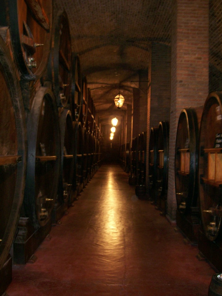 Foto de Mendoza, Argentina