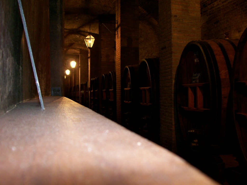 Foto de Mendoza, Argentina