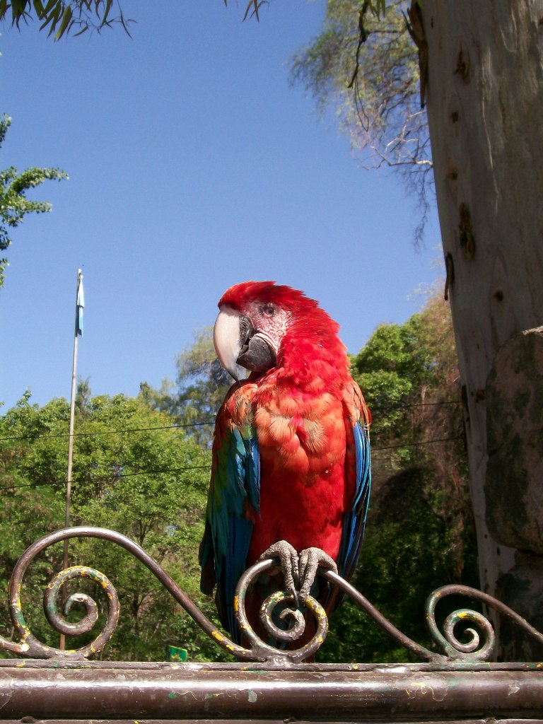 Foto de Mendoza, Argentina