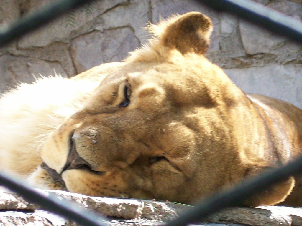 Foto de Mendoza, Argentina