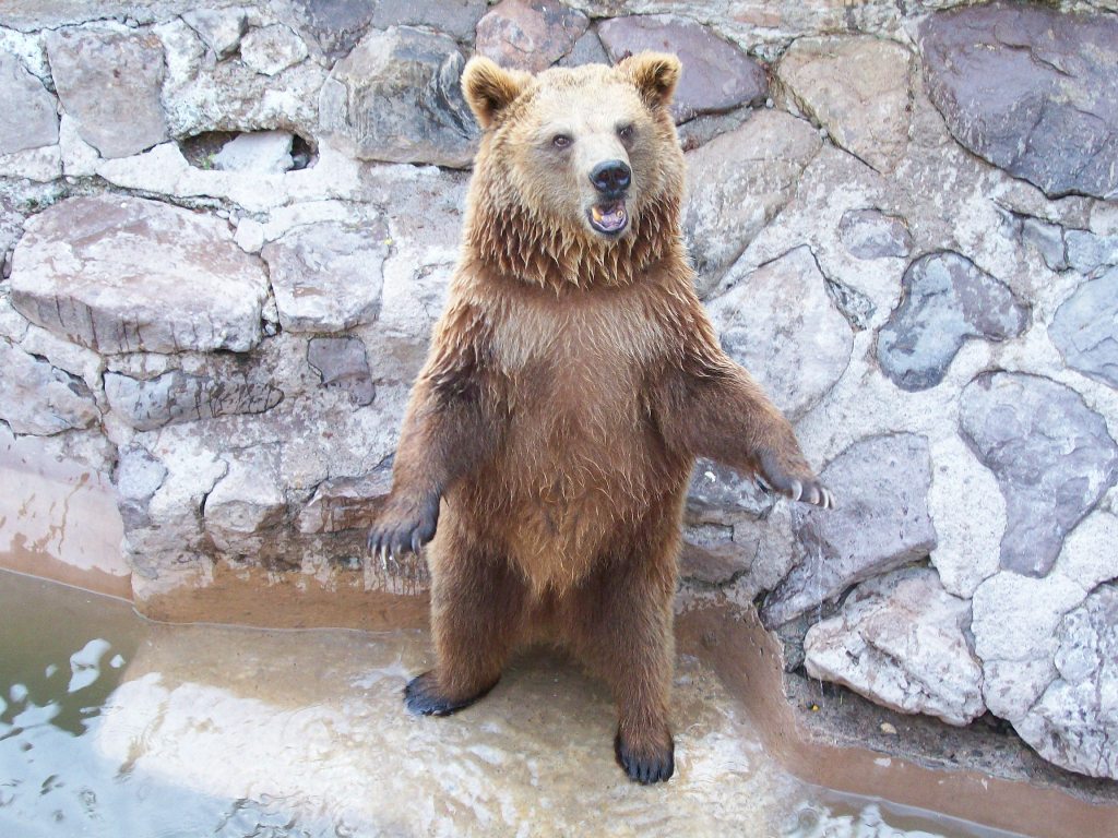 Foto de Mendoza, Argentina