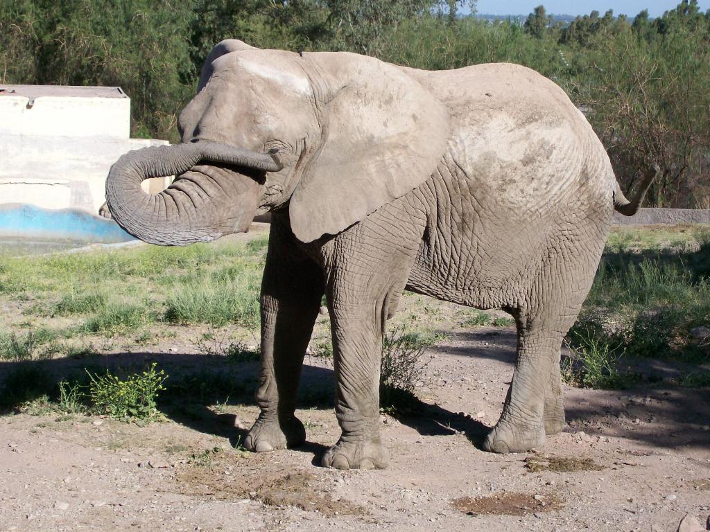 Foto de Mendoza, Argentina