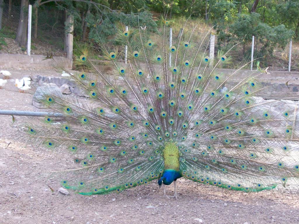 Foto de Mendoza, Argentina