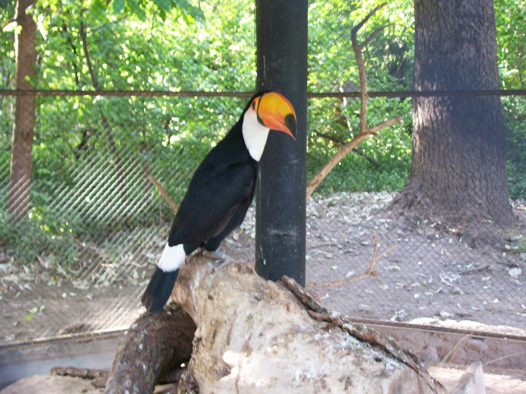 Foto de Mendoza, Argentina