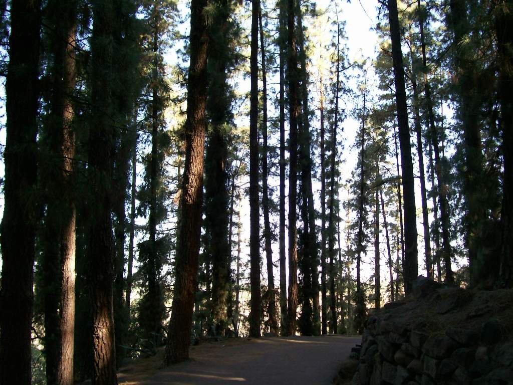 Foto de Mendoza, Argentina