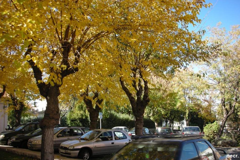 Foto de Villanueva de la Cañada (Madrid), España