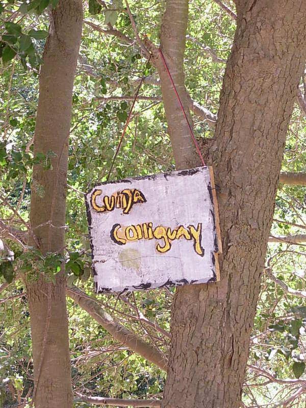 Foto de Colliguay, Chile