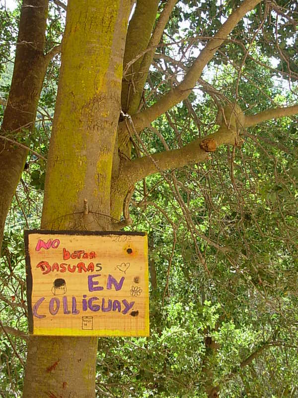 Foto de Colliguay, Chile