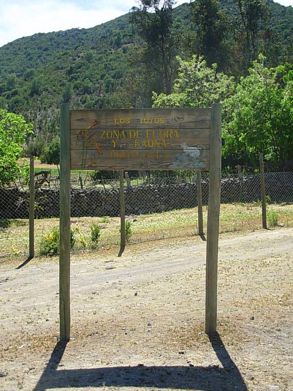 Foto de Colliguay, Chile