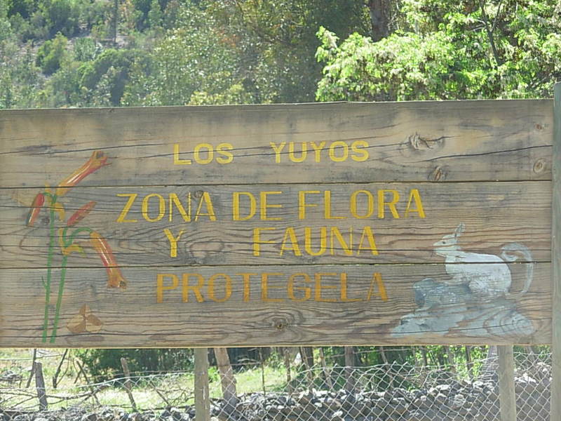 Foto de Colliguay, Chile