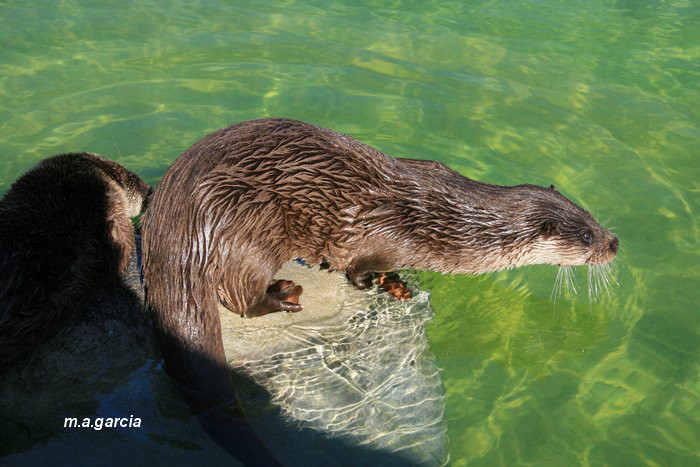Foto de Arguedas (Navarra), España