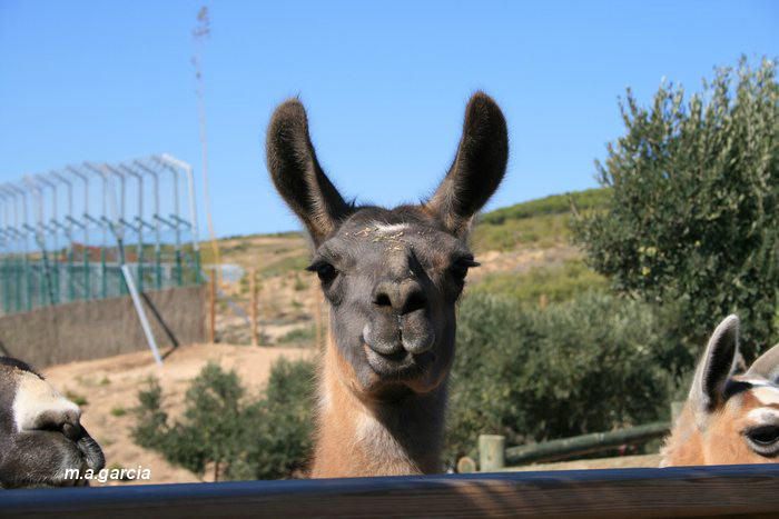Foto de Arguedas (Navarra), España