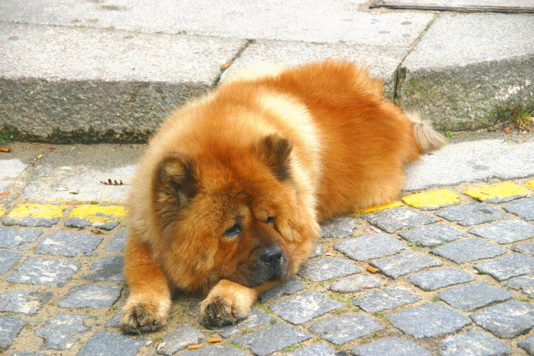Foto de Oporto, Portugal