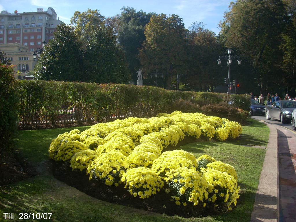 Foto de Oviedo (Asturias), España