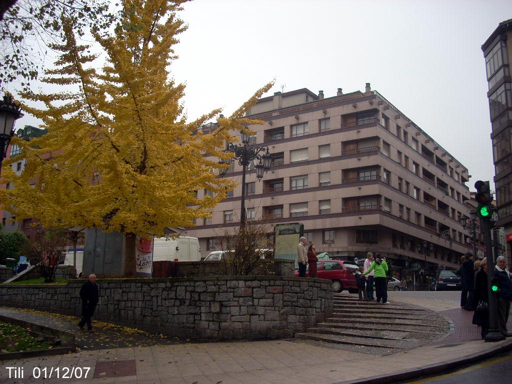 Foto de Oviedo (Asturias), España
