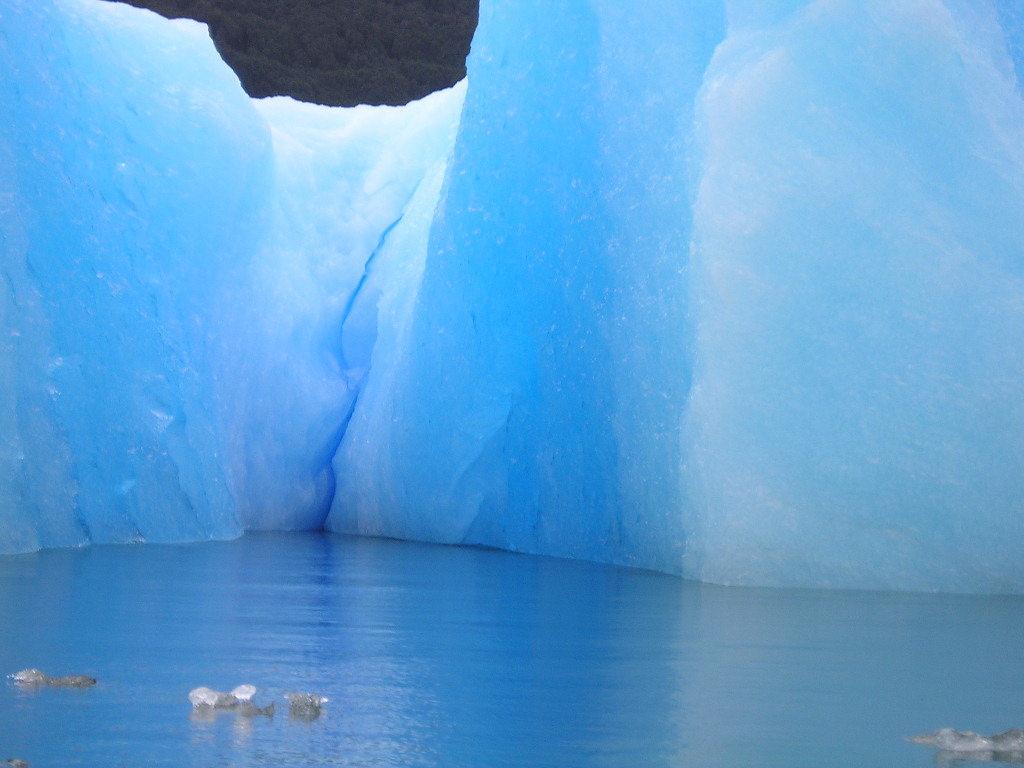 Foto de Laguna San Rafael, Chile