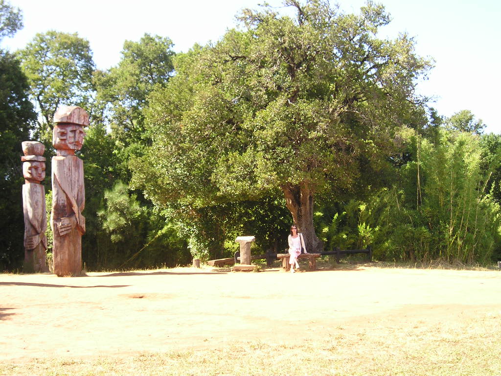 Foto de Temuco, Chile