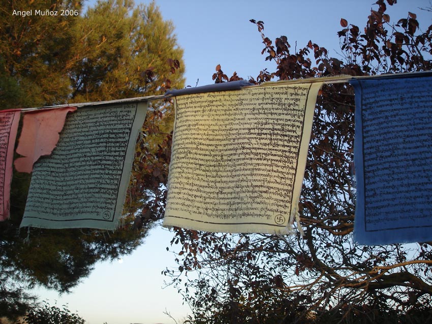 Foto de Parque del Garraf (Barcelona), España