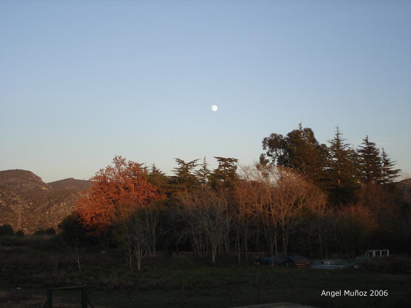 Foto de Parque del Garraf (Barcelona), España