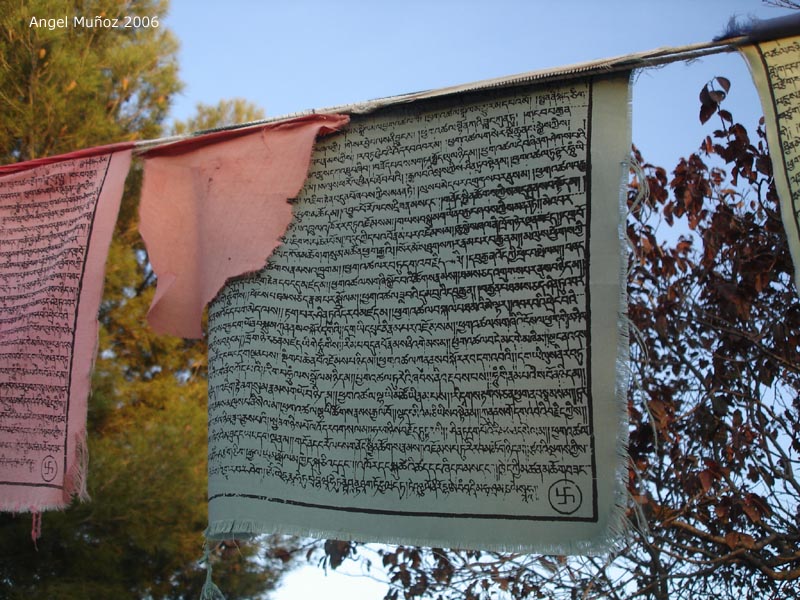 Foto de Parque del Garraf (Barcelona), España