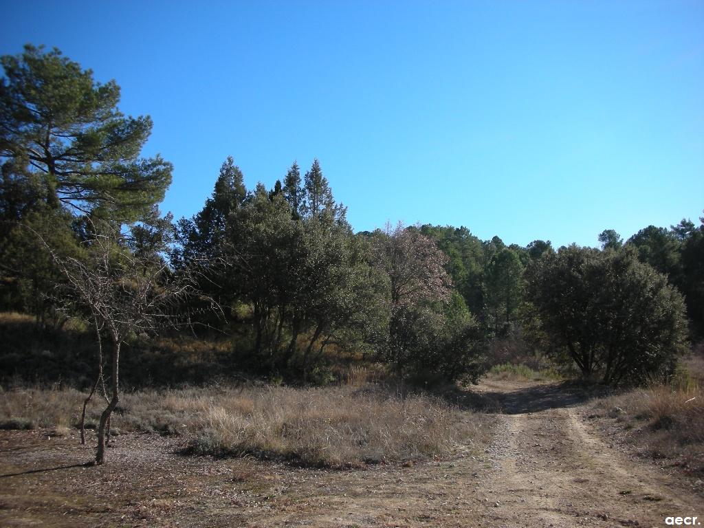 Foto de Villalba de la Sierra (Cuenca), España
