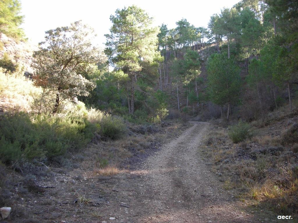 Foto de Villalba de la Sierra (Cuenca), España